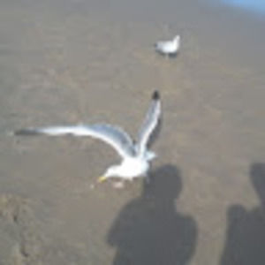 Meet your Posher, Gianna